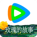 比较是三声还是四声呢